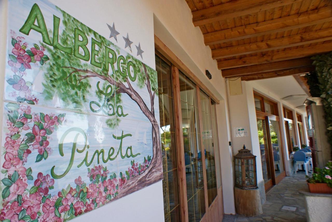 Albergo La Pineta Marina dʼMarina dʼAndora Zewnętrze zdjęcie