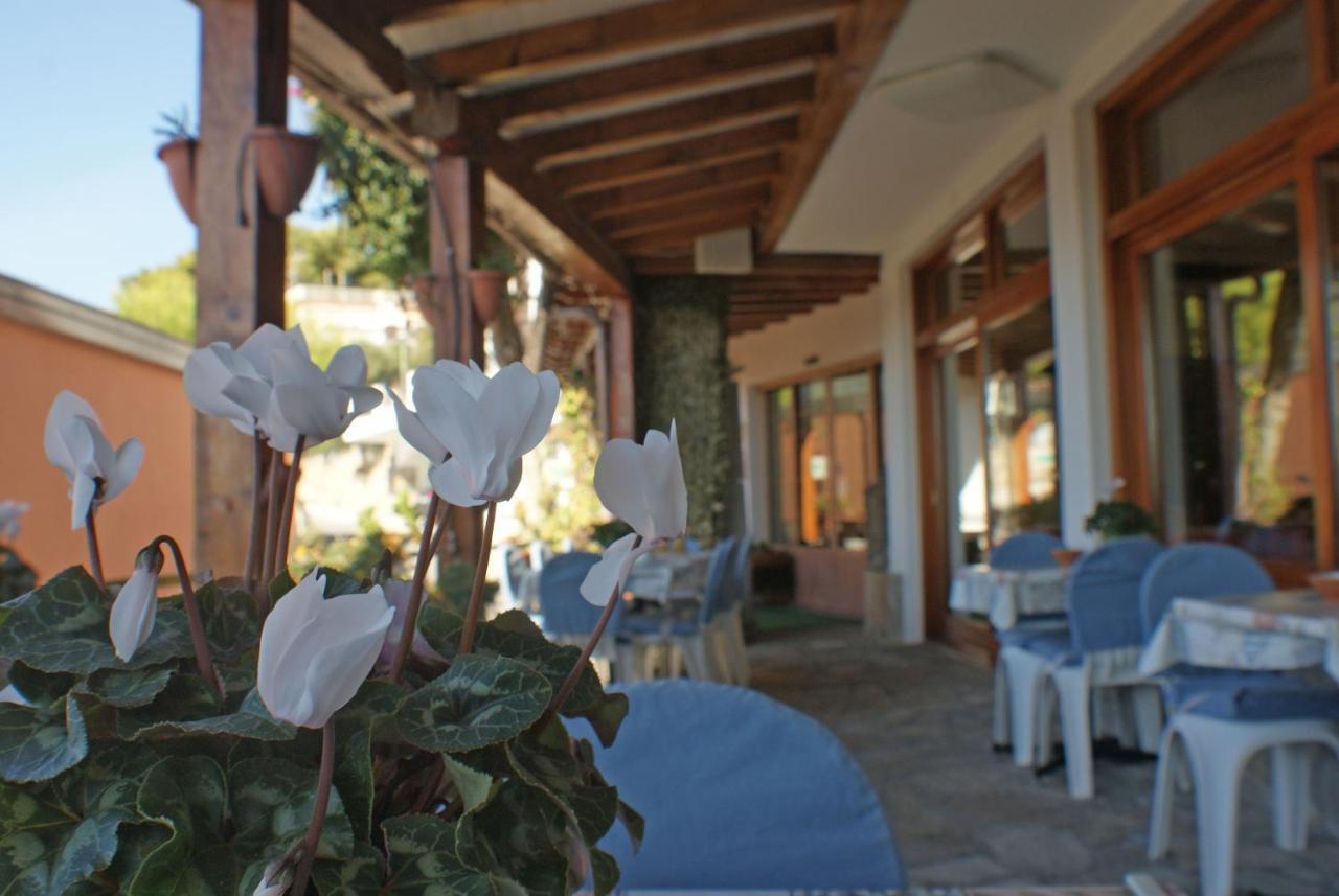 Albergo La Pineta Marina dʼMarina dʼAndora Zewnętrze zdjęcie